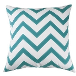 Decorative Throw Pillow